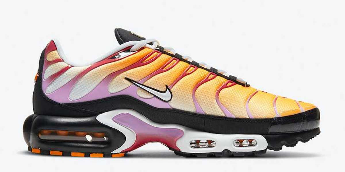 Nike Air Max Plus CZ1651-800 2021 New Released
