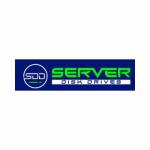 Server Disk Drives