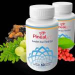 Pineal XT 100% Natural