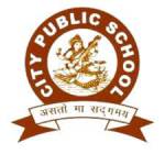 City Public School Noida