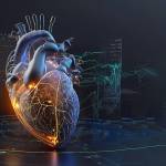 The Heart ae