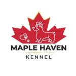 maple haven kennel