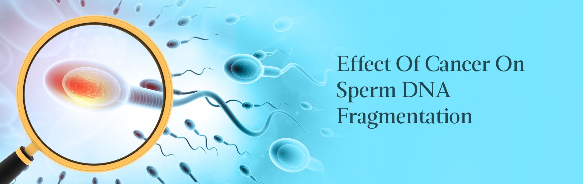 Unravelling the Effect of Cancer on Sperm DNA Fragmentation
