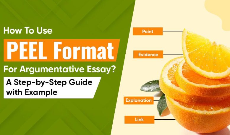 How to Use PEEL Format for Argumentative Essay? A Step-by-Step Guide with Example