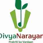 divyanarayaniblog