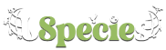 jspecies.com - Jungle