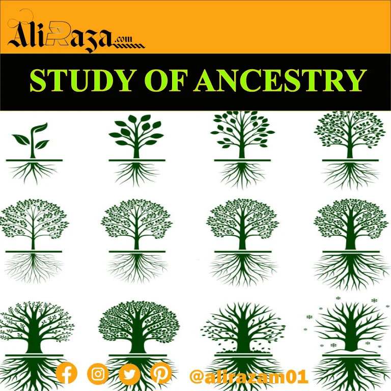 Study Of Ancestry
