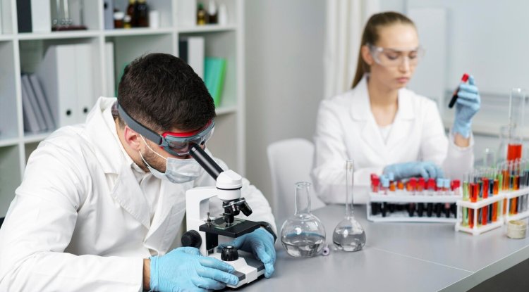 Becoming a Phlebotomist: The First Step Into Healthcare - Lockurblock News