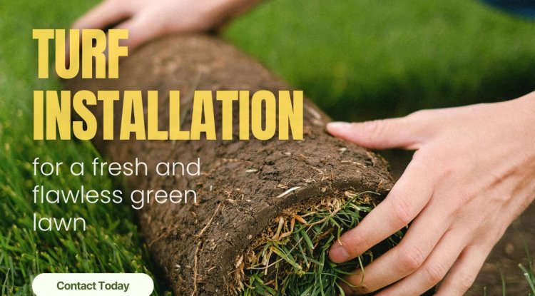 Creating Beautiful and Safe Outdoor Spaces: A Look at Landscaping  in New Zealand - Lockurblock News