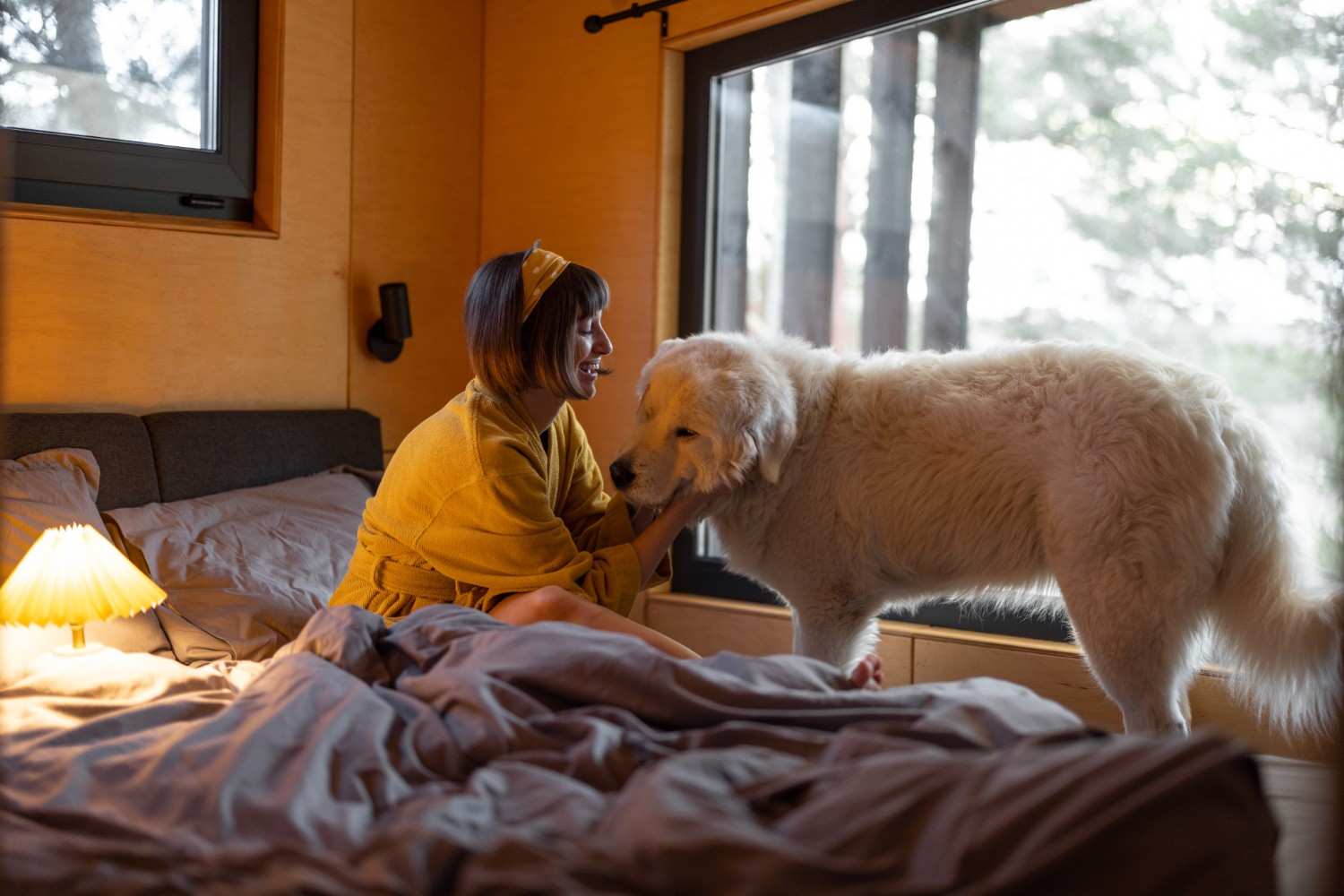 Pet-Friendly Homestay in Nainital | The Willow Way