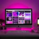 backlink illiot