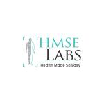 HMSE Labs