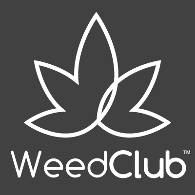 WeedClub | B. A. | How to Select the Right Accountant in Ashford?