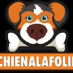 chienalafolie
