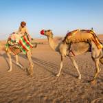incredible indiarajasthantours