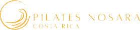 Pilates Online Classes & Pilates Teachers – Pilates Nosara