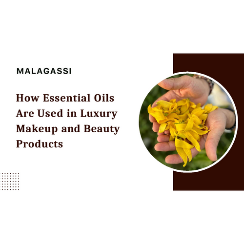 How Essential Oils Are Used in Luxury Makeup and Beauty Products