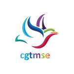 CGT MSE