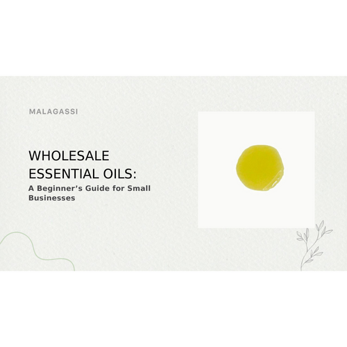 Wholesale Essential Oils: A Beginner’s Guide for Small Businesses