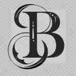 Tek Bhavya