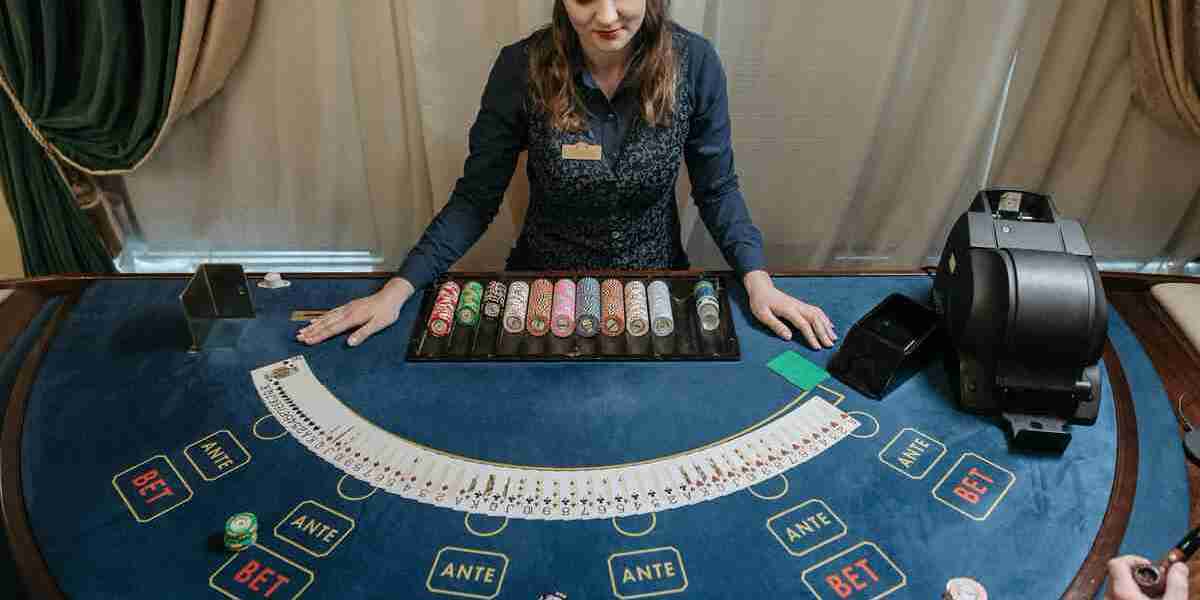 Toto Site Insights: Your Guide to Scam Verification with Inavegas Community