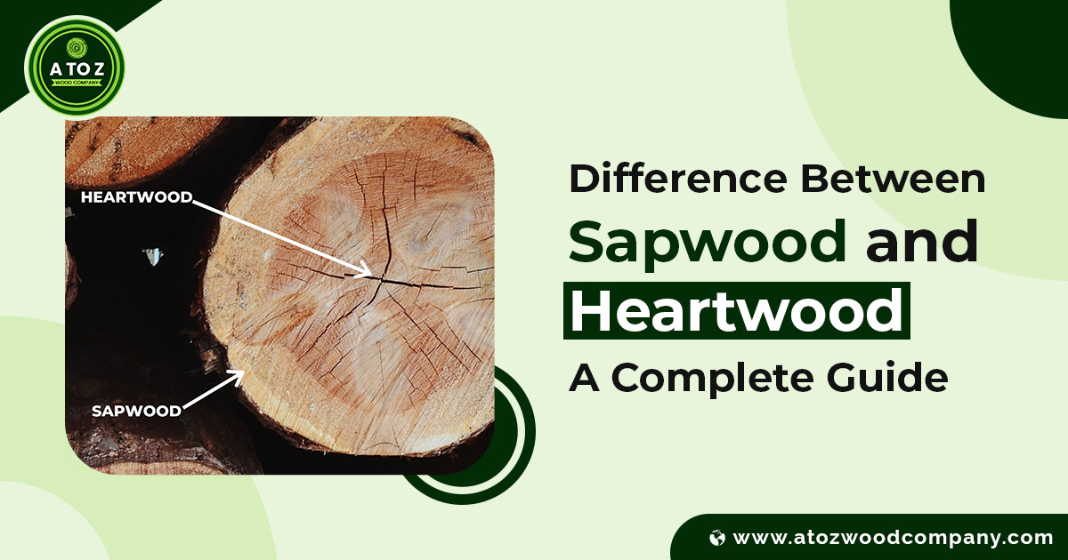 Difference Between Sapwood and Heartwood: A Complete Guide