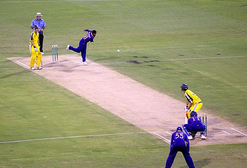 Why Is Fantasy Cricket the Best Online Sports Game? %sepsitename%%