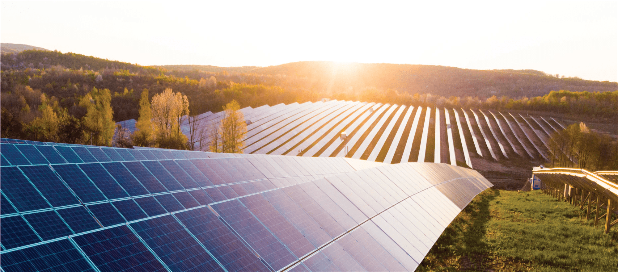 Fotovoltaico - fornitore e grossista Raylyst Solar