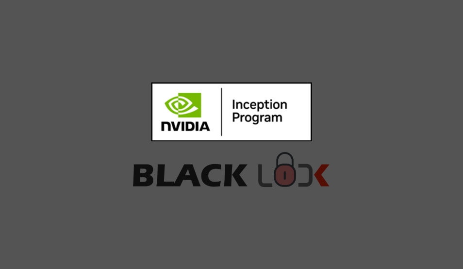 PTaaS, Penetration Testing as a Service Company in NZ & Aus | BlackLock