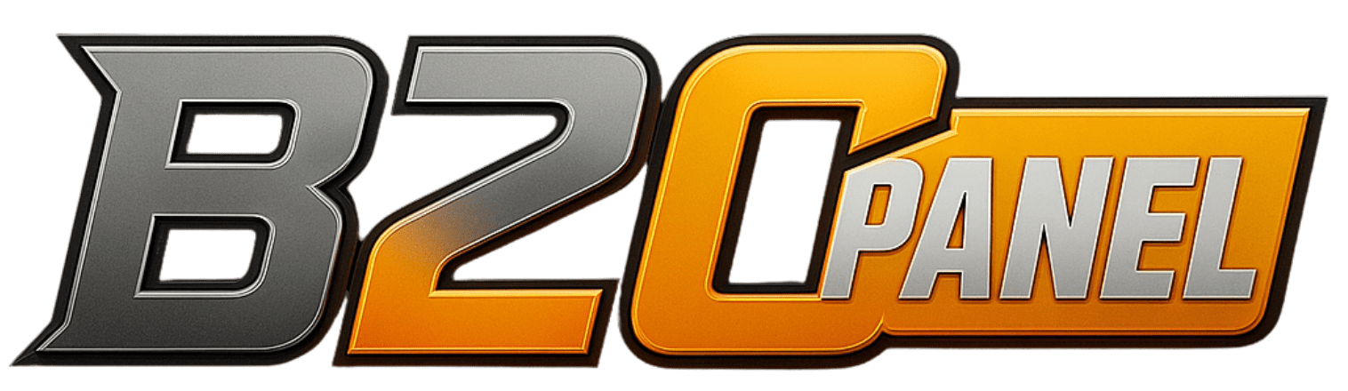 What is an SMDL provider in cricket betting?