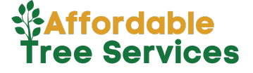 Affordable Tree Removal Services in Houston