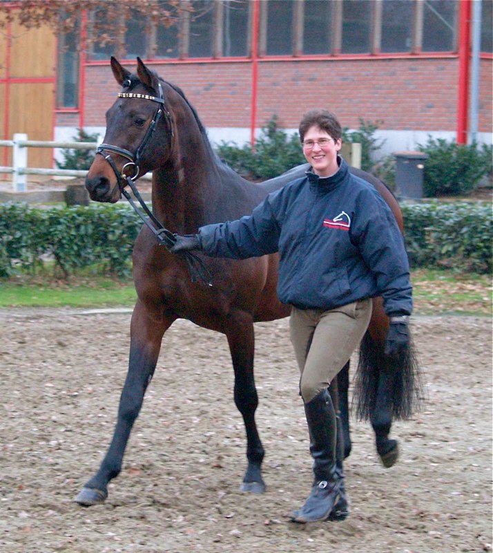 Private Seat Lessons On The Fitness Ball | Dressage For Fun