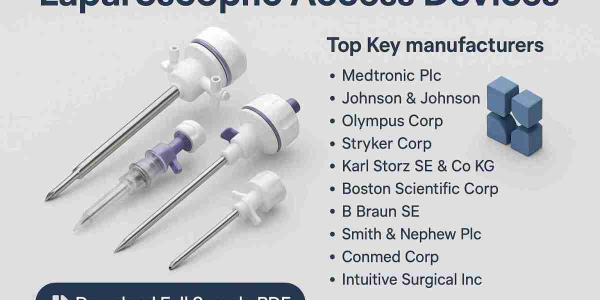 Comprehensive Study on the Laparoscopic Access Devices Market 2025–2031