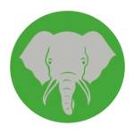 Elephant Trunk
