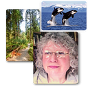 Counselors in Bellingham- Licensed Couple Counseling Services | by Sharon O’Connell | Jul, 2025 | Medium