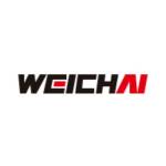 WEICHAI INDIA