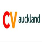 Professional Resume Editing Services in