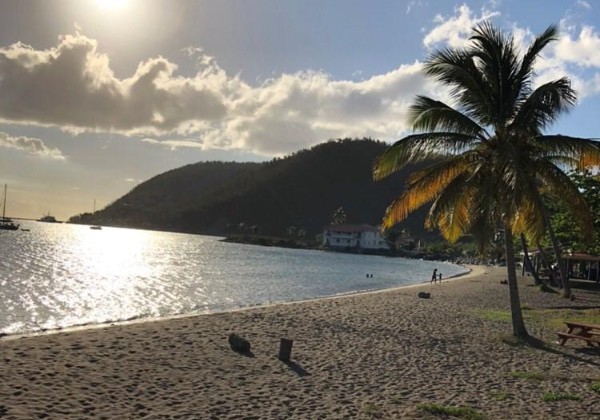Flip Flops & Coconuts – Guided Tours in Dominica for Solo & Social Travelers​