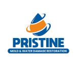 Pristine Mold and Water Damage Restoration