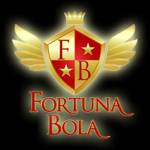 fortuna bola