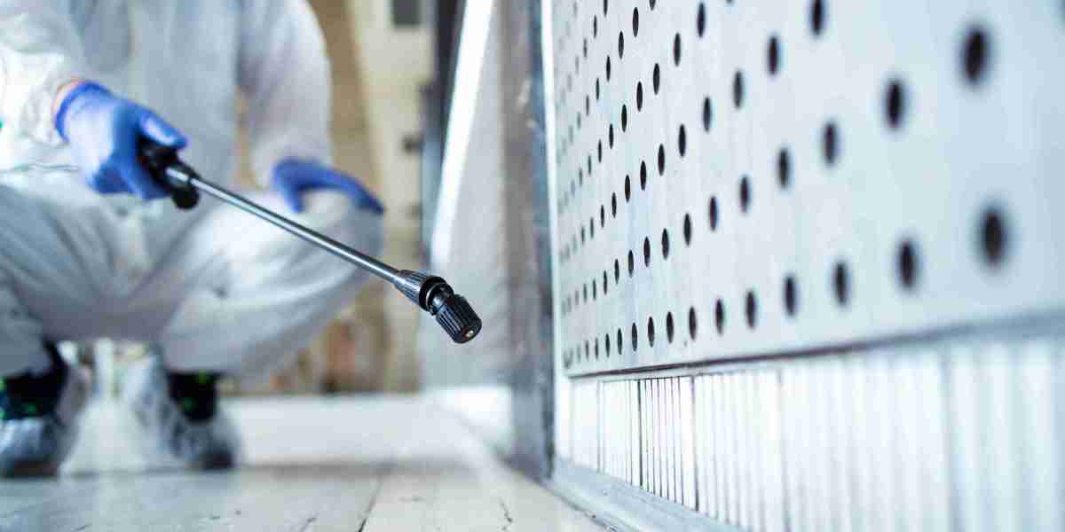 Top Pest Control Services to Protect Your Property