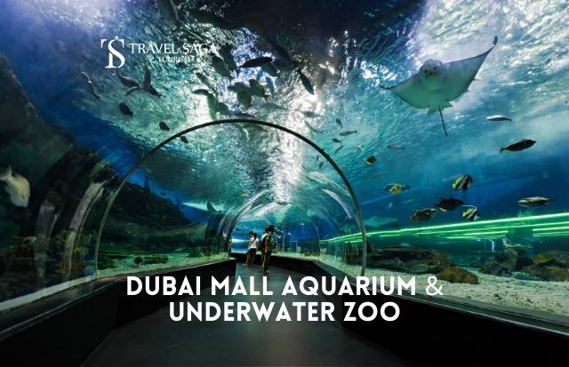 Dubai Mall Aquarium | Dubai Mall Aquarium Tickets