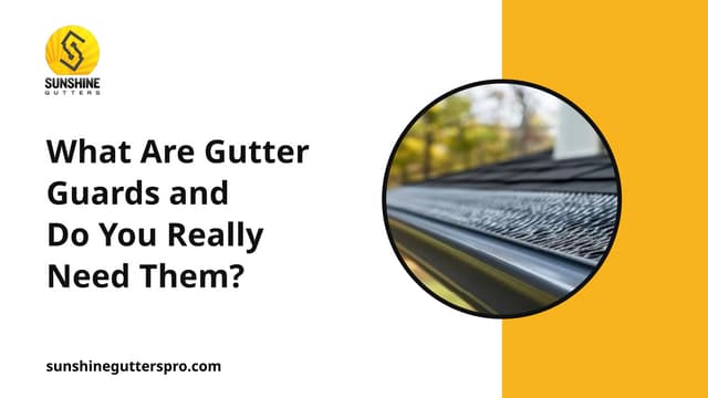 What Are Gutter Guards and Do You Really Need Them (2).pptx