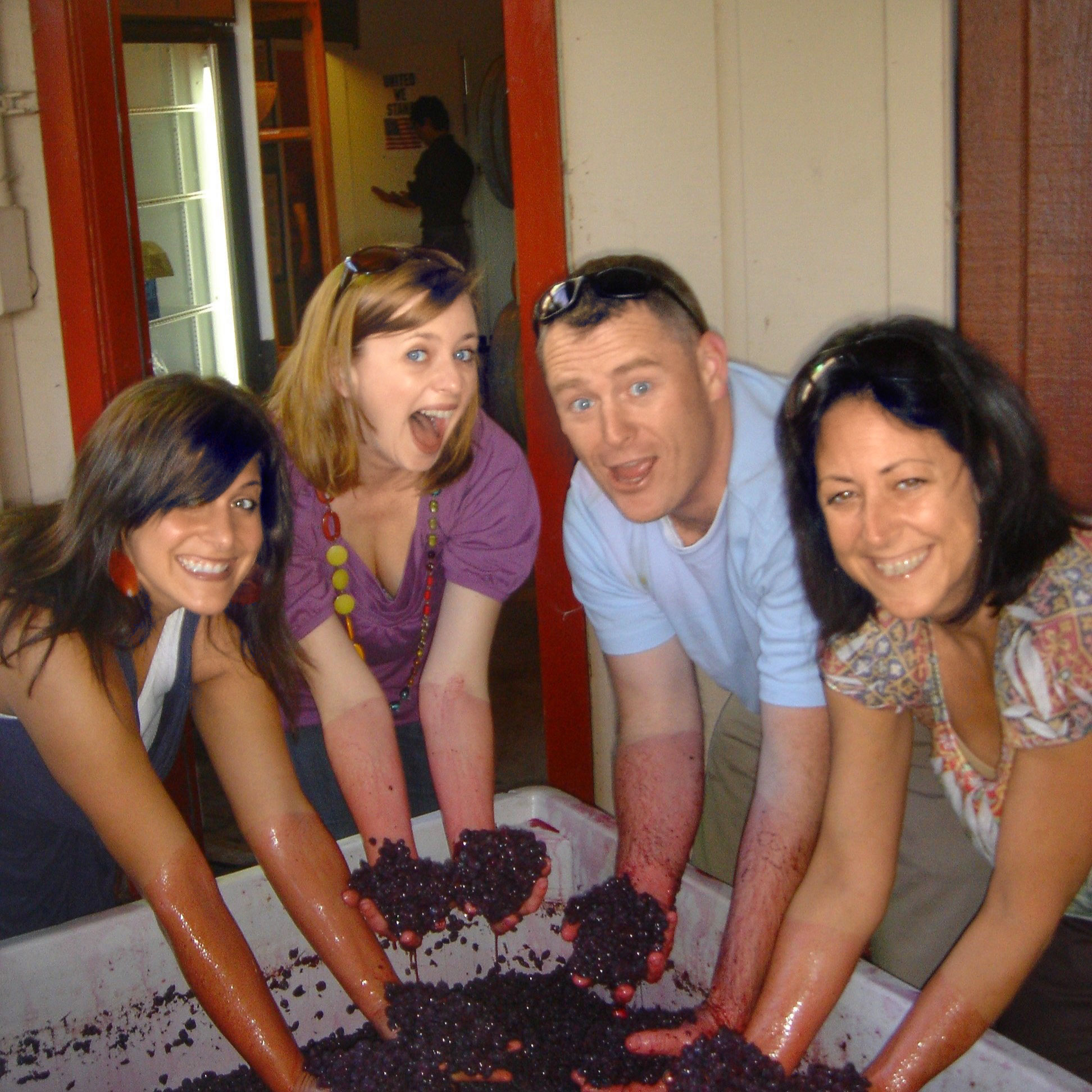 Napa Valley Wine Tours, Wineries | Napa Valley wineries Tour