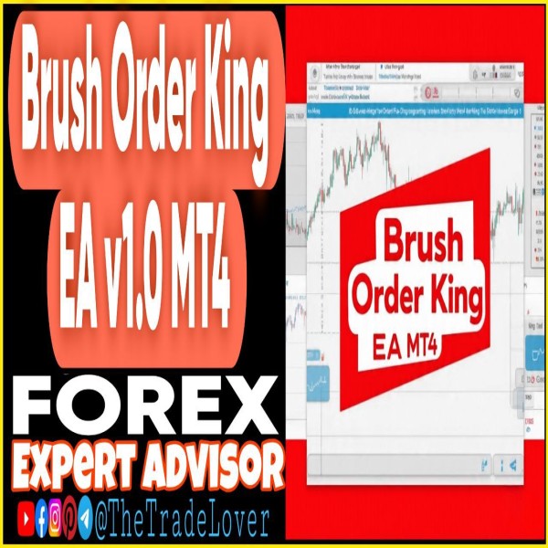 Brush Order King EA v1.0 MT4 - AtomFX Store