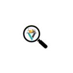 FindV Services