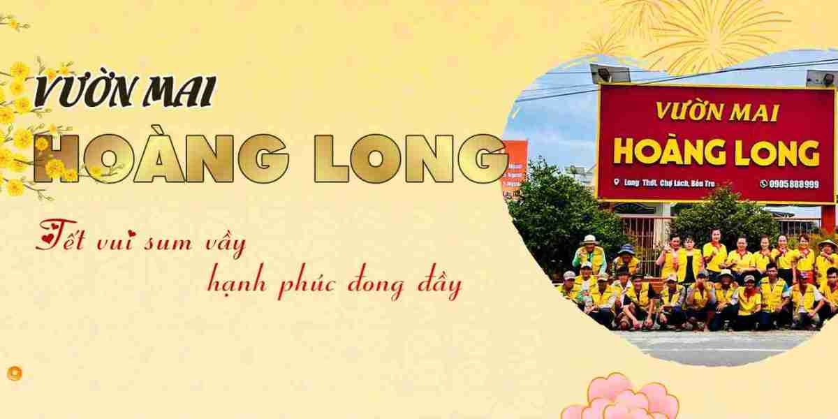 Top 6 Địa Điểm Mua Mai Vàng Đẹp Tại Sài Gòn[/b]
