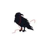Black Bird Knitting & Needleworks