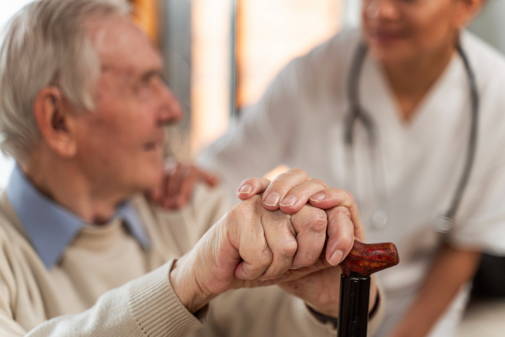 Aged Care Kingsgrove Services that Truly Make a Difference for Seniors - blogrify.com