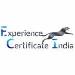 Best Experience Certificate Providers in Lucknow Experience Certificate India